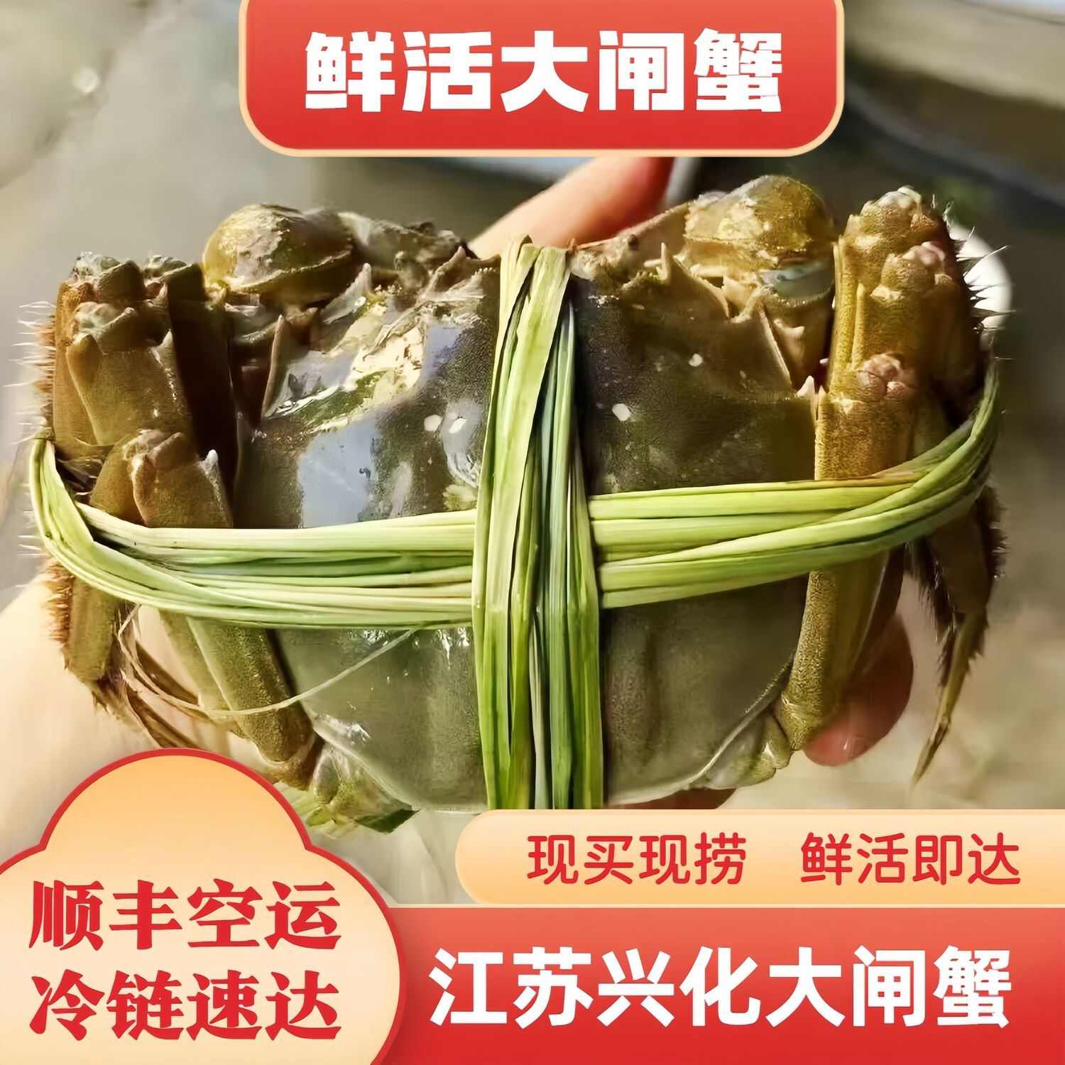 江苏兴化精品大闸蟹 个大饱满 全国发货