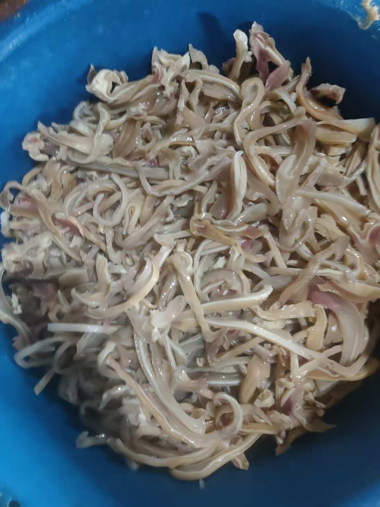 牛耳朵，牛耳朵丝，福建泉州本地厂家，来电价优！