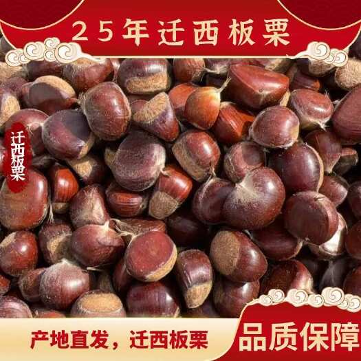 【自产自销】25年迁西老树板栗优质鲜板栗糖炒批发零售
