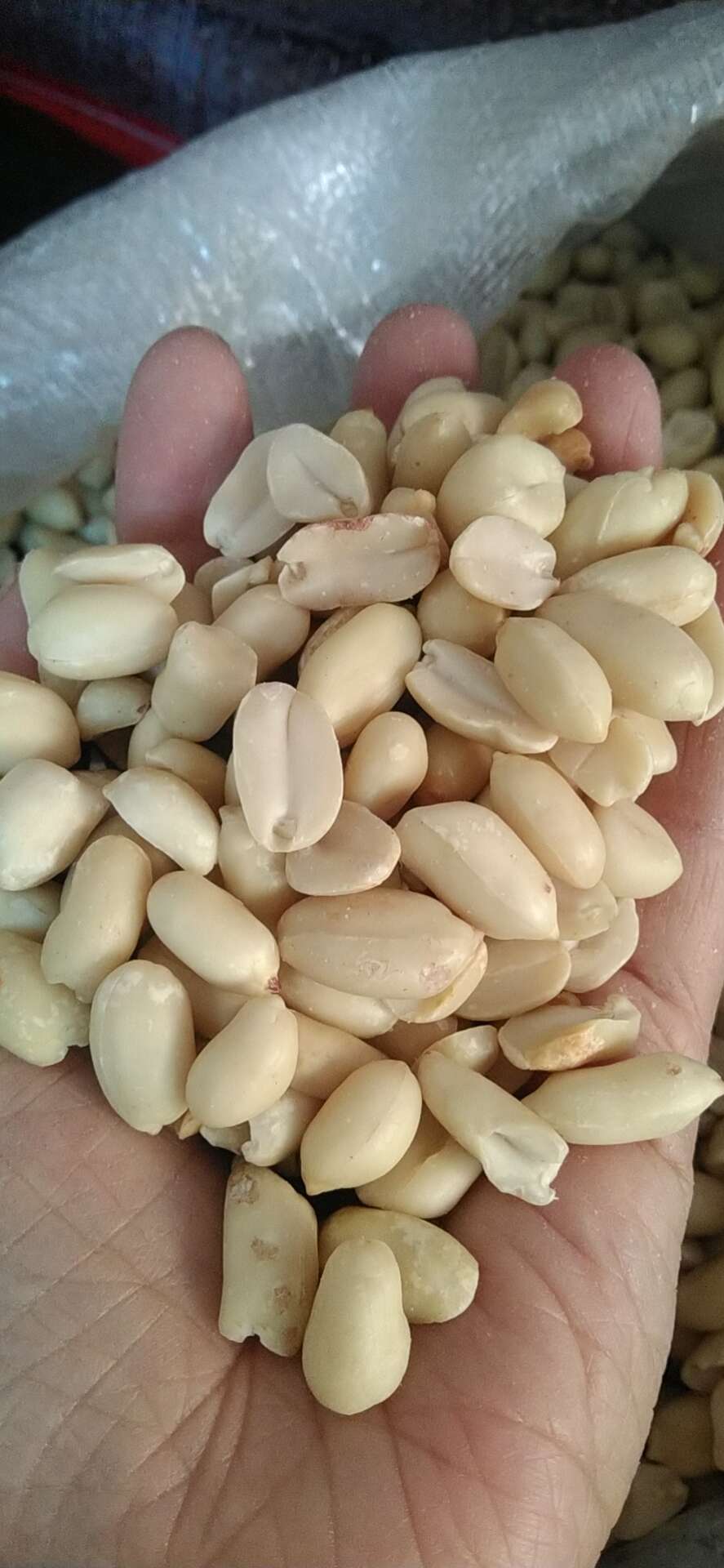 厂家直销脱皮花生米，规格齐全，常年大量有货