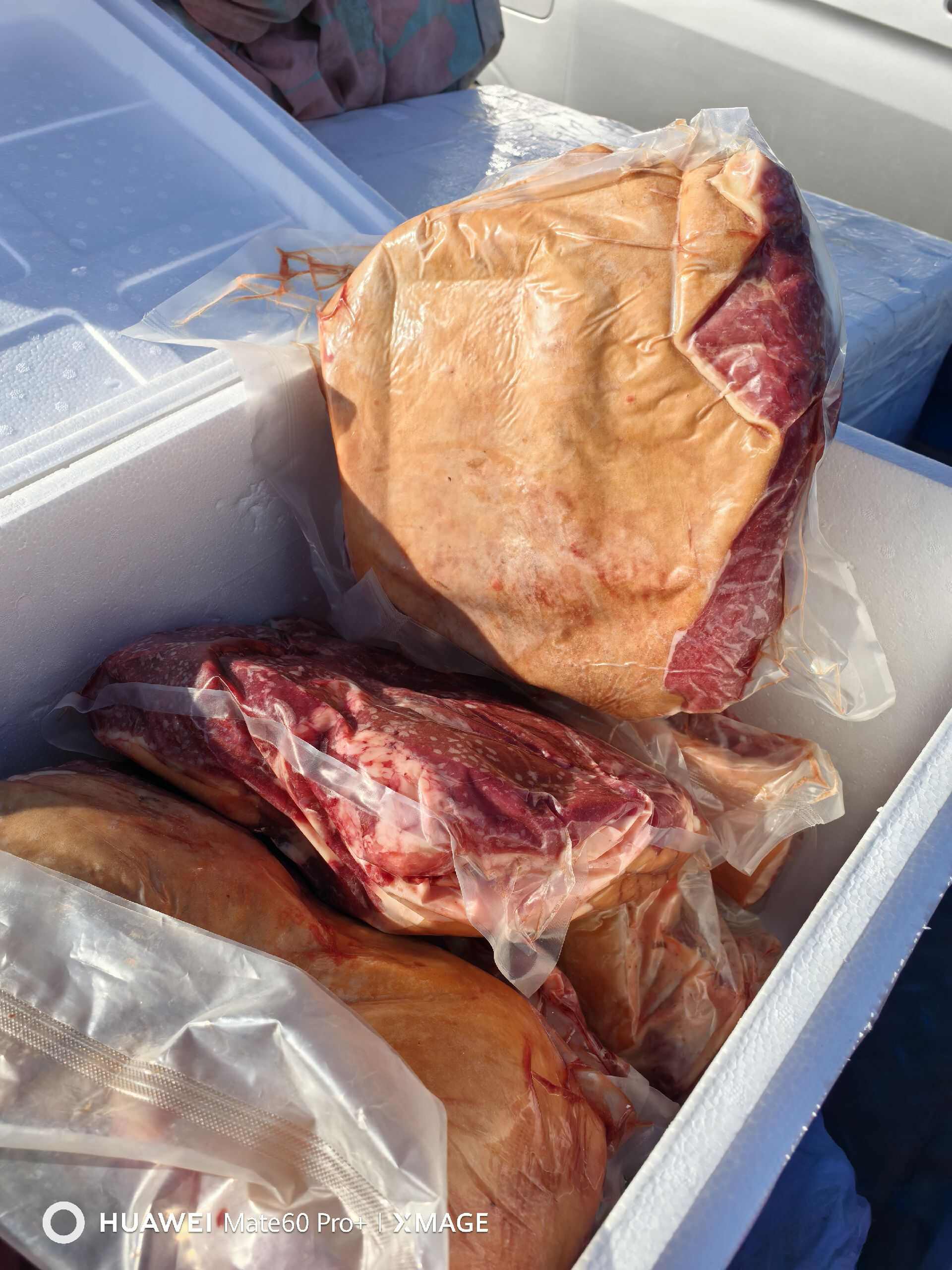 郑州鲜马肉
