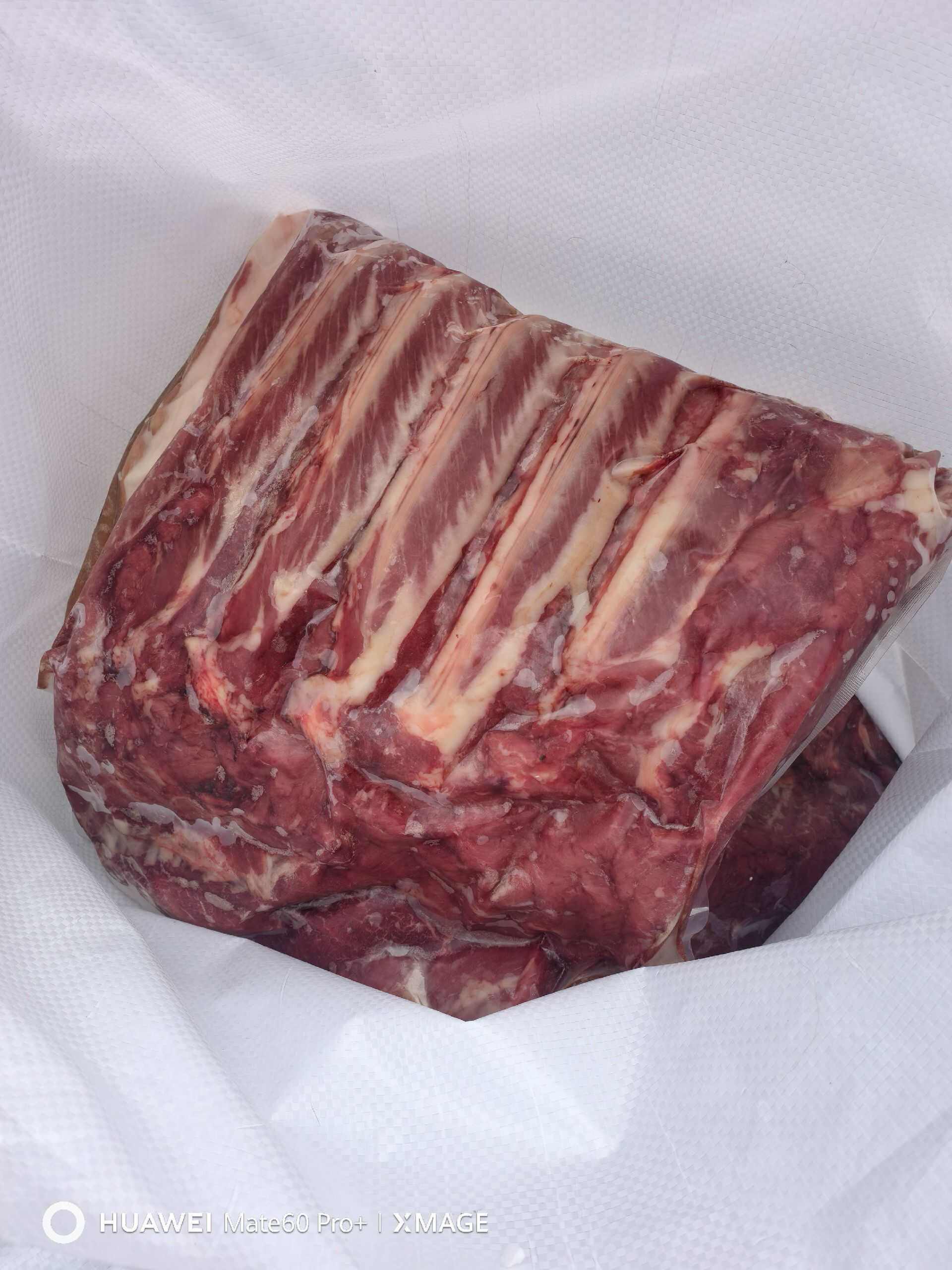 郑州带皮马肉   带皮肋条  带皮腿肉