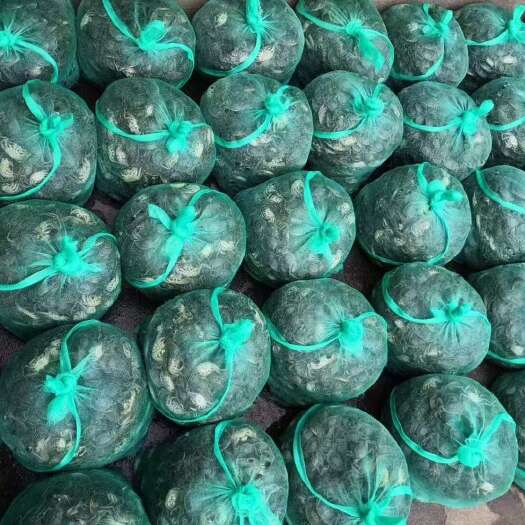 盱眙县基地直销蟹苗，扣蟹，大闸蟹幼苗，大母体，欢迎对接