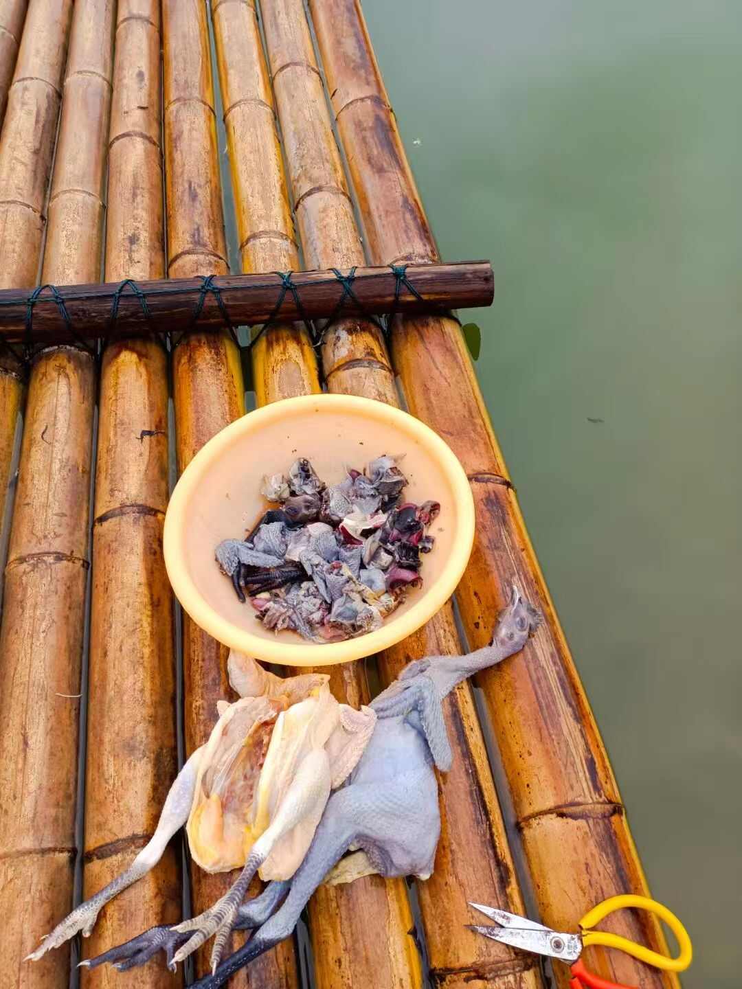 全散养土鸡，品质保证，纯粮食喂养