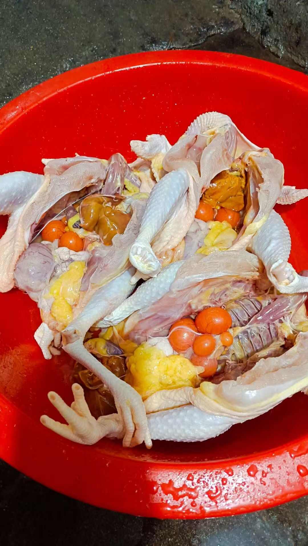 全散养土鸡，品质保证，纯粮食喂养