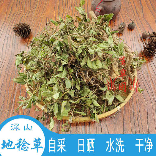 地稔草  铺地锦 山地菍 中药材 中草药 原料 批发