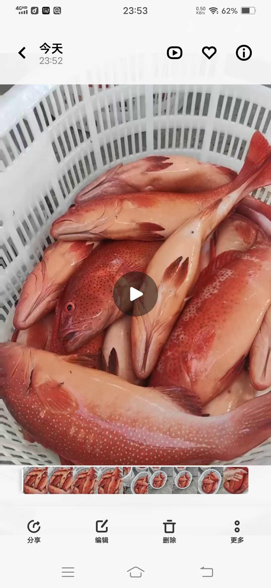 海鲜红东星斑