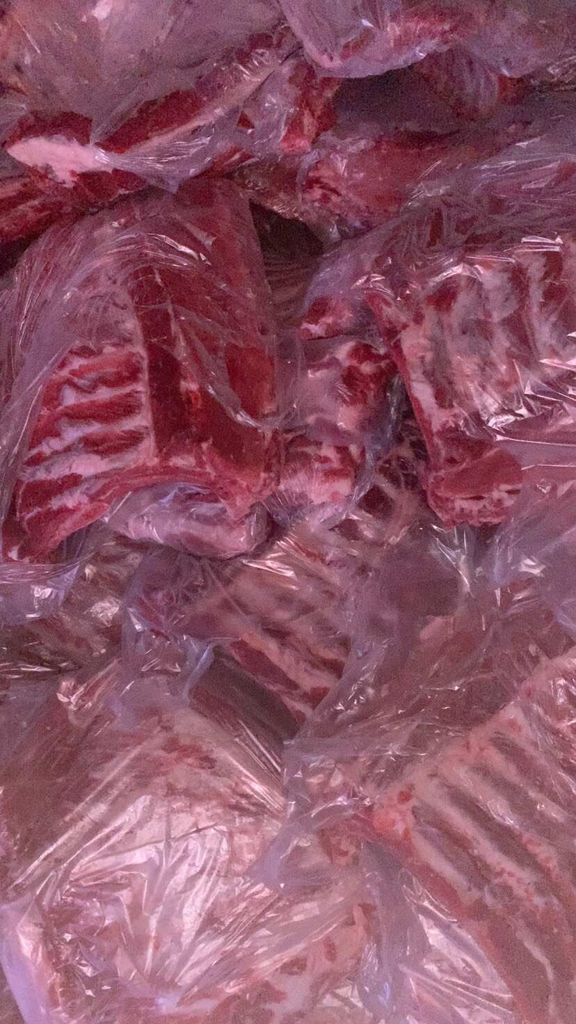 土猪鲜品中排，每天大量有货