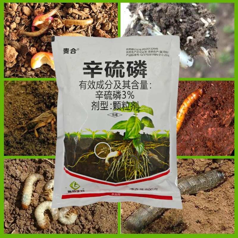 3%辛硫磷颗粒剂杀虫剂花生蛴螬地老虎金针虫地下害虫正品包邮
