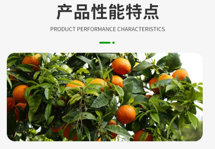 33%阿维螺螨酯红蜘蛛专用药柑橘果树月季草莓花卉农药杀虫剂