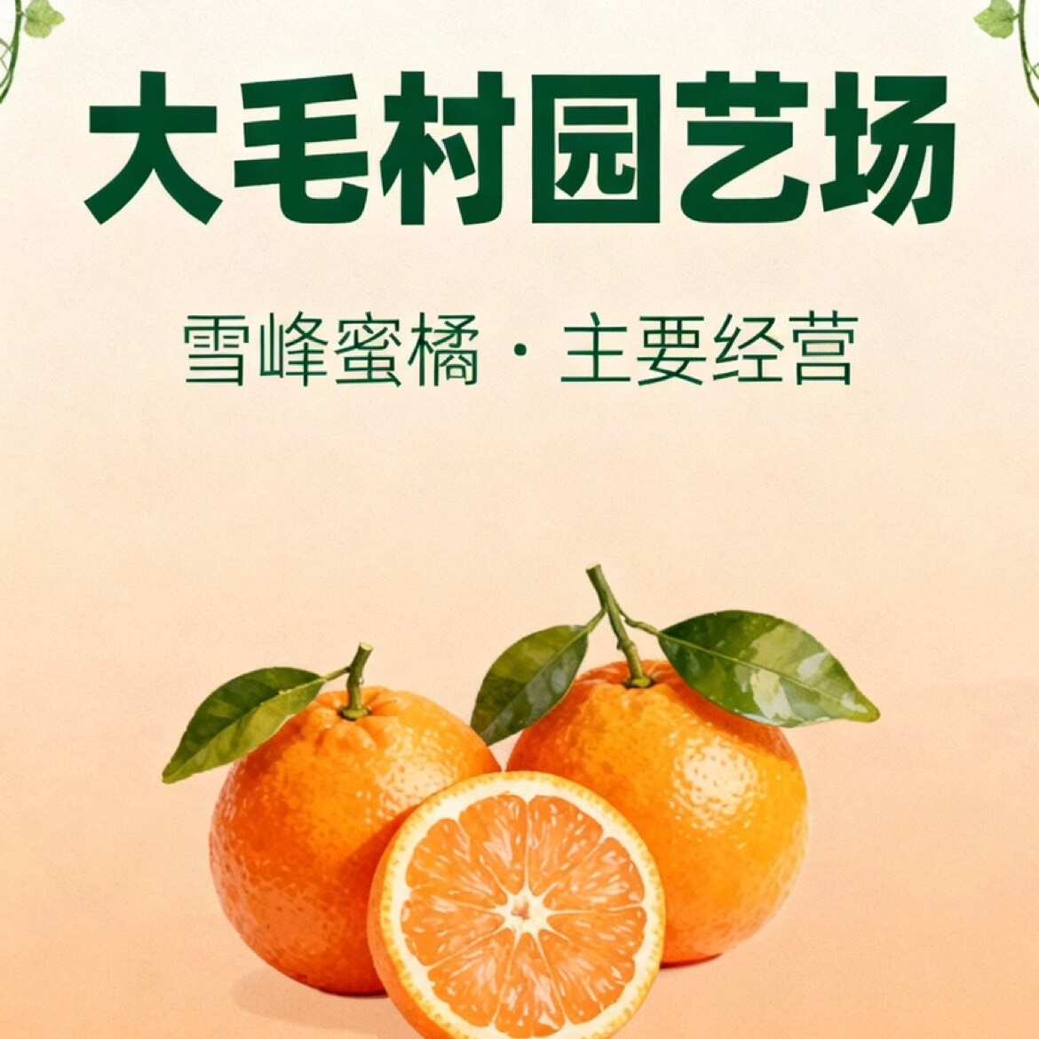 特早雪峰蜜橘 糖度12-14之间