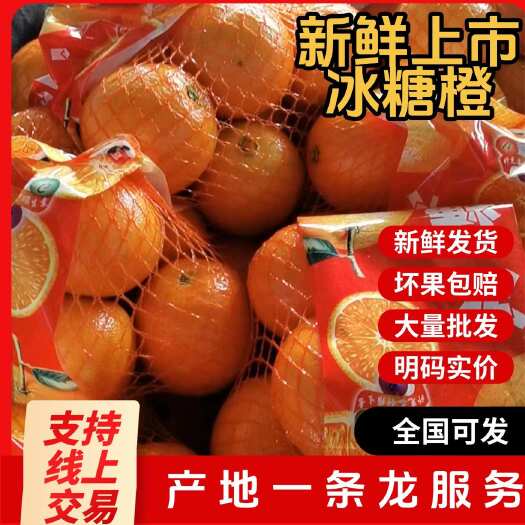 枝江市脐橙青果催红果各种规格承接市场电商出口