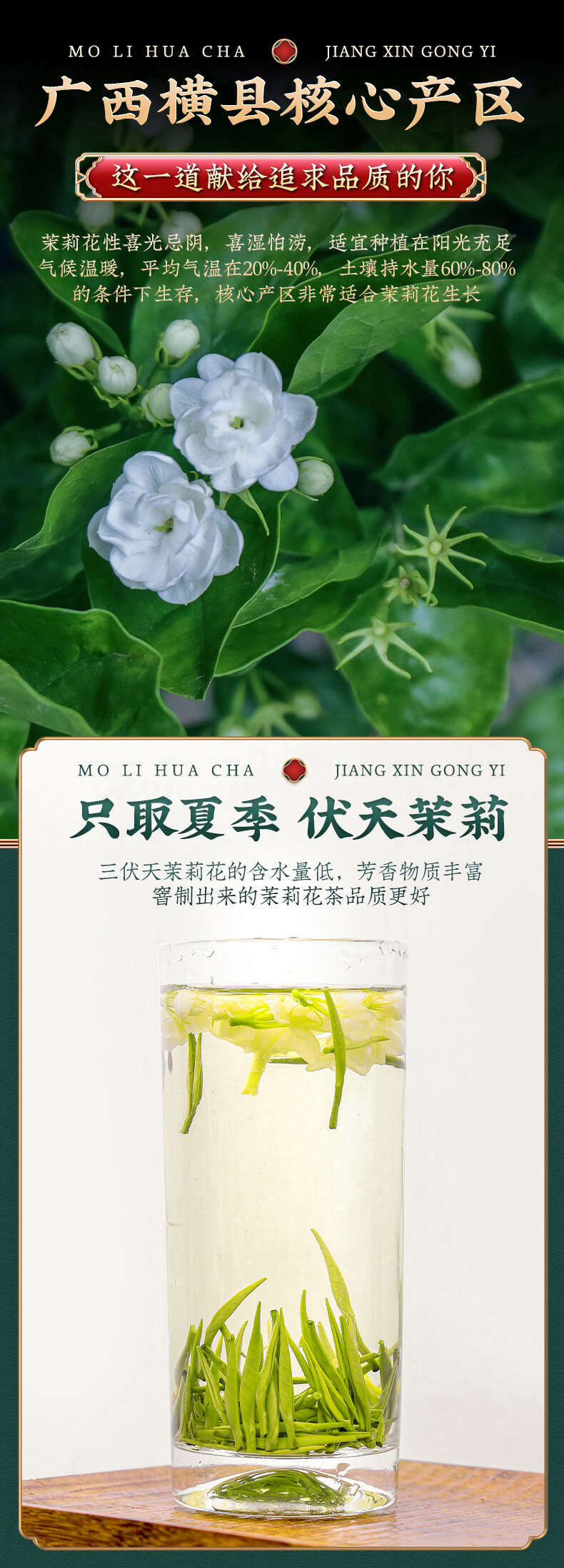 【花香】正宗茉莉花茶2025新茶浓香茶叶批发花茶绿茶礼盒装
