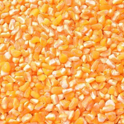 牡丹江东北大碴子！小碴子批发自产自销