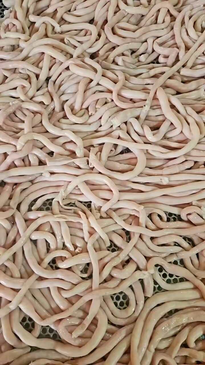 十成熟羊肠子，源头工厂，一件起发。