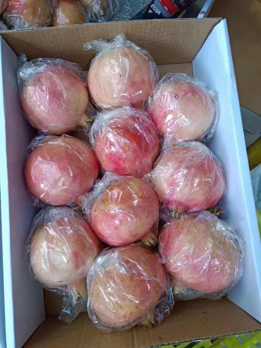 临潼石榴