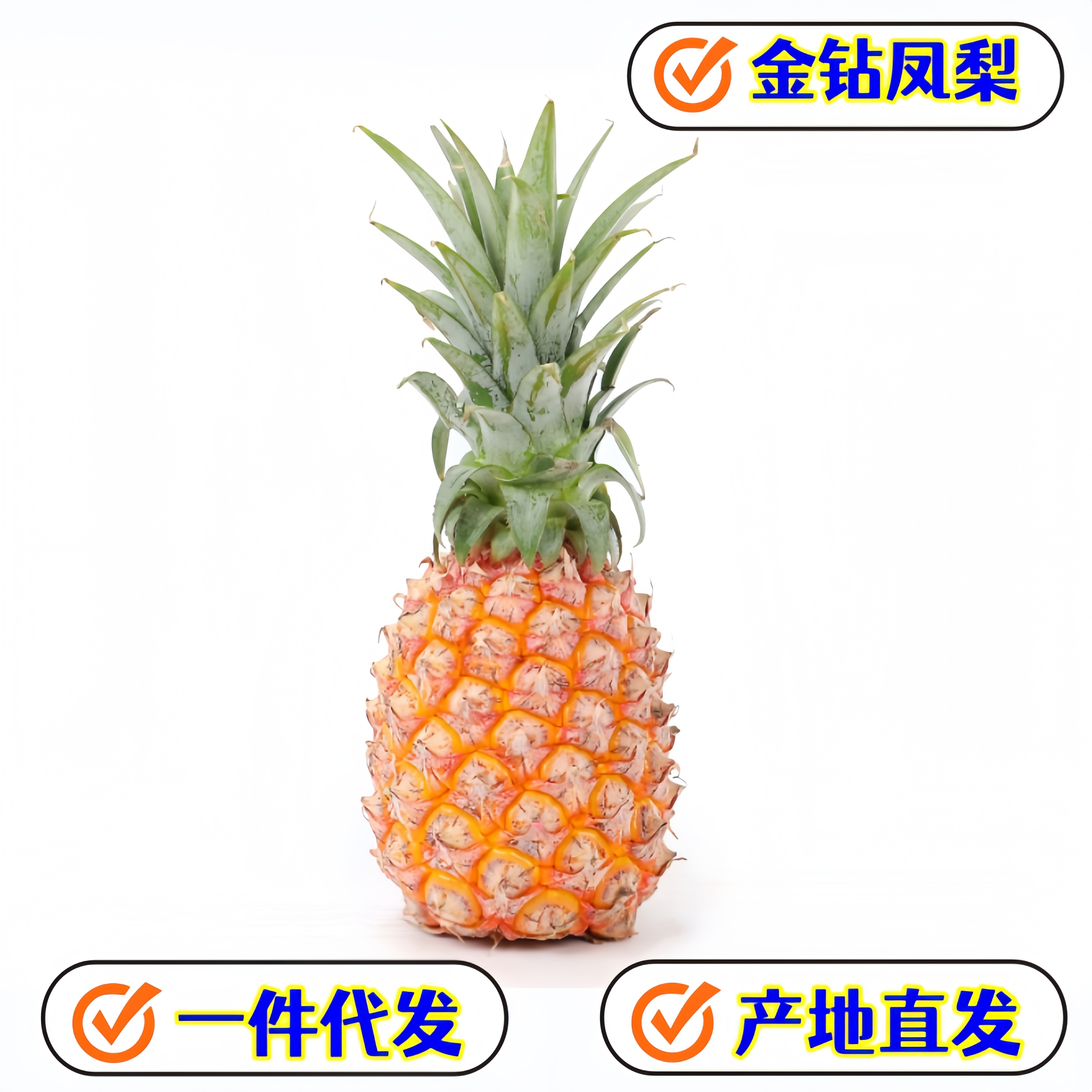 专业做（一件代发）海南金钻凤梨当季时令现摘现发新鲜水果
