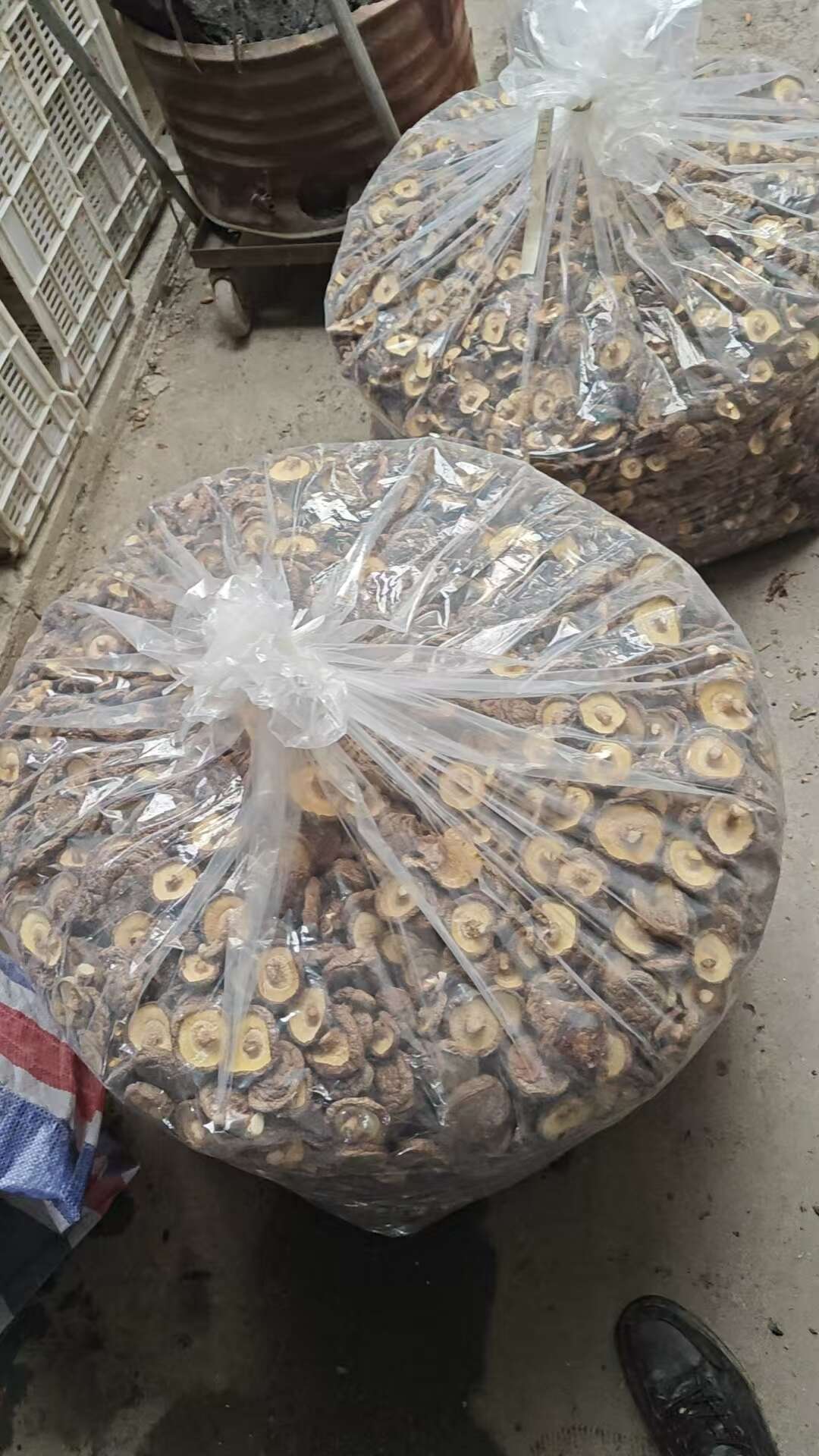 香菇冬菇干货直供质量杠杠的草茹炖汤 精选面菇一手货源产地直供