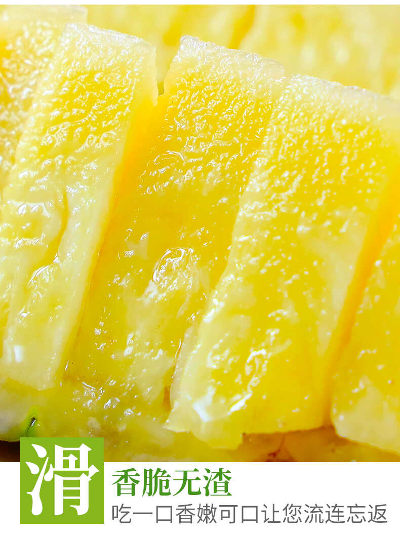 专业做（一件代发）海南金钻凤梨当季时令现摘现发新鲜水果