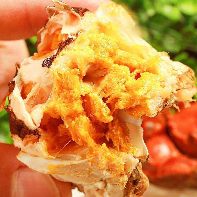 湖北洪湖基地养殖大闸蟹规格齐全