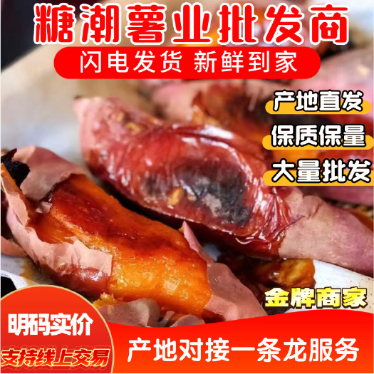 夏津县山东夏津烟薯 烤薯专用，新鲜红薯 根茎蔬菜产地直发，