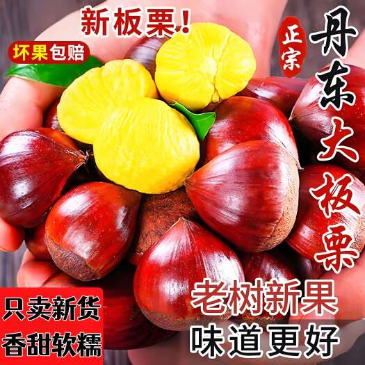 东港市【25年新下树】丹东新鲜板栗生板栗炒菜专用新鲜蔬菜生鲜