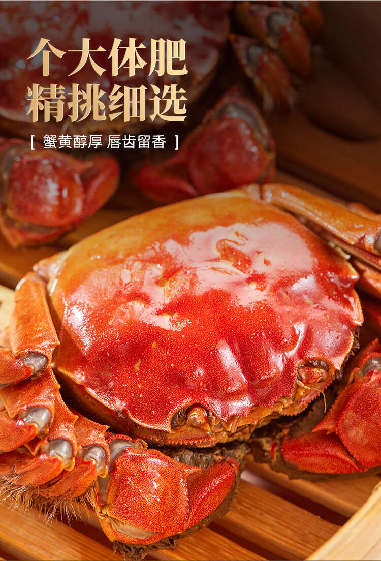 江苏精品活蟹批发散货母蟹专属