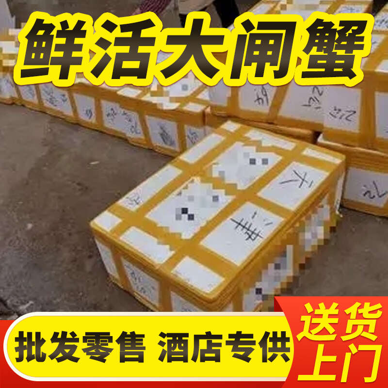 江苏精品活蟹批发散货母蟹专属