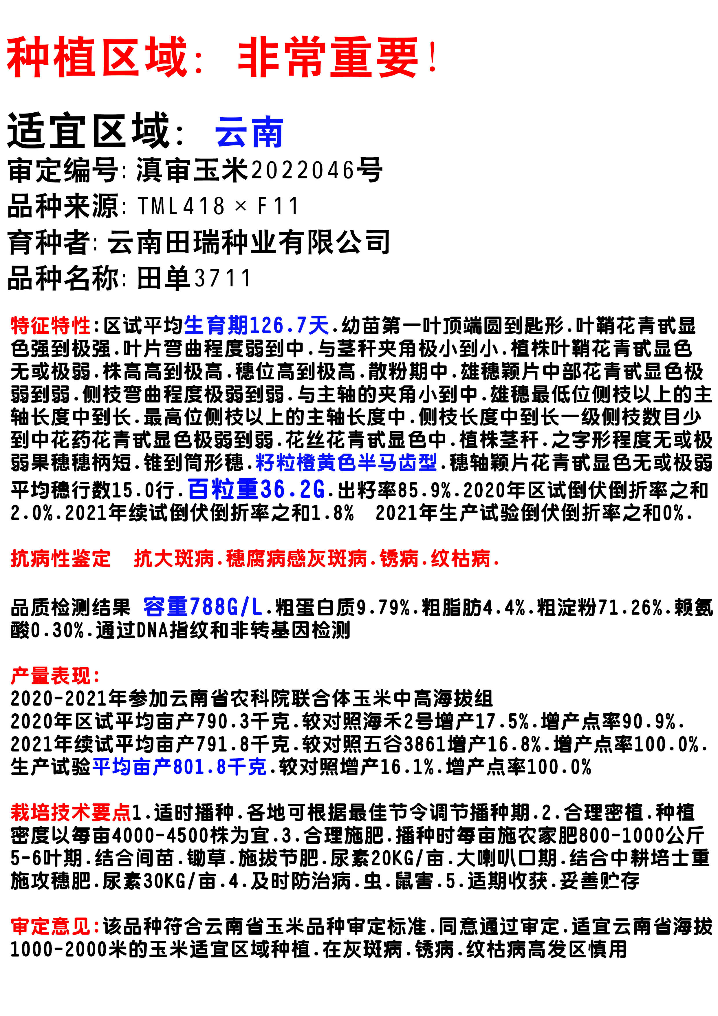 田单3711玉米种子厂家直销