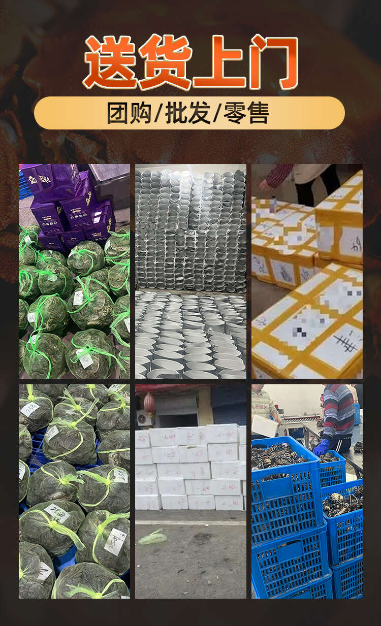 江苏精品活蟹批发散货母蟹专属