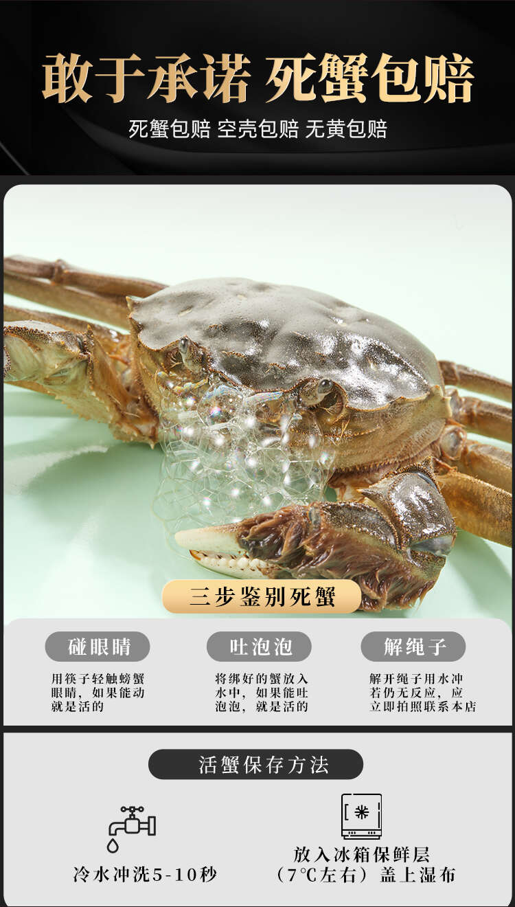 江苏精品活蟹批发散货母蟹专属