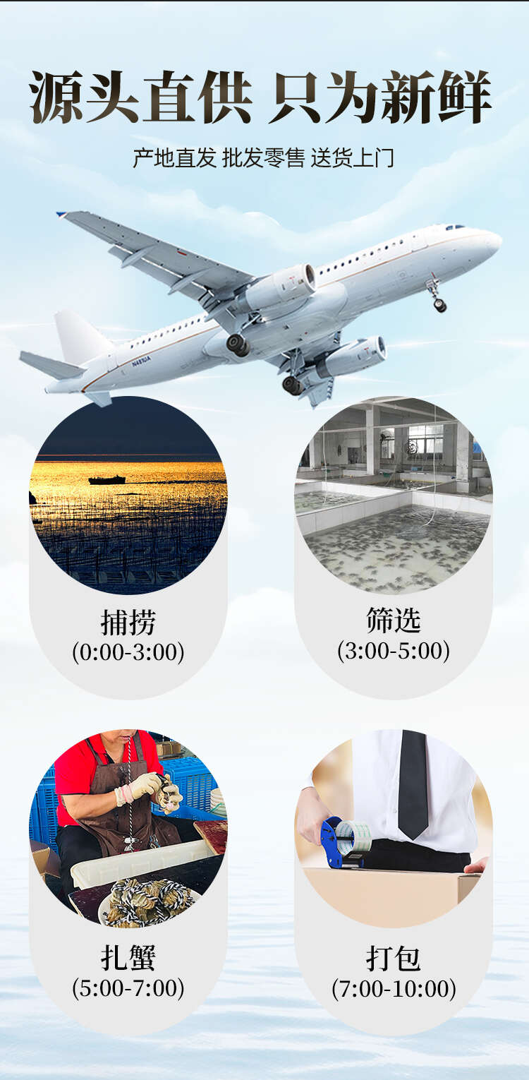 江苏精品活蟹批发散货母蟹专属