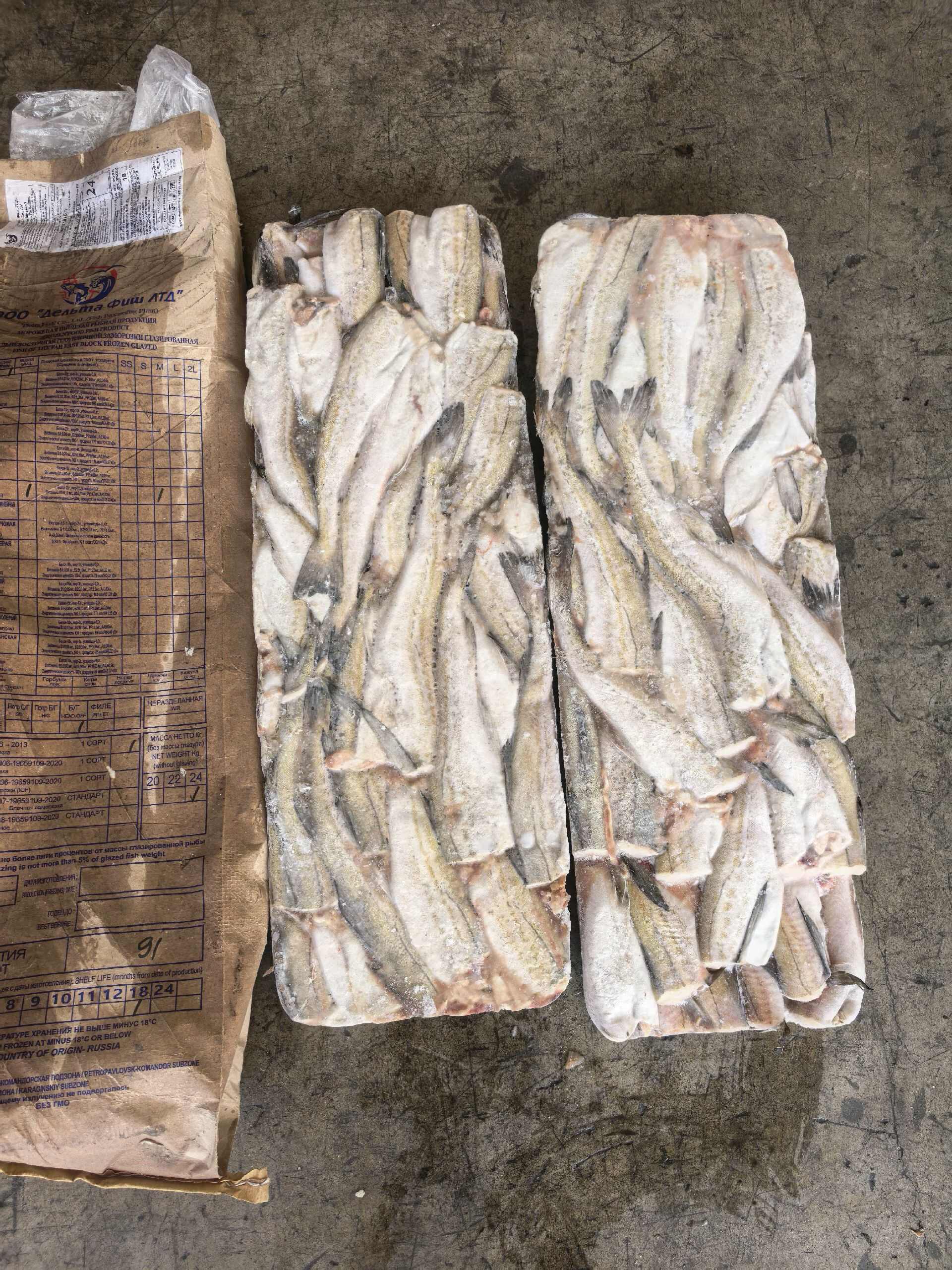 船冻/陆冻去头去脏狭鳕原料，B季节白令海新货