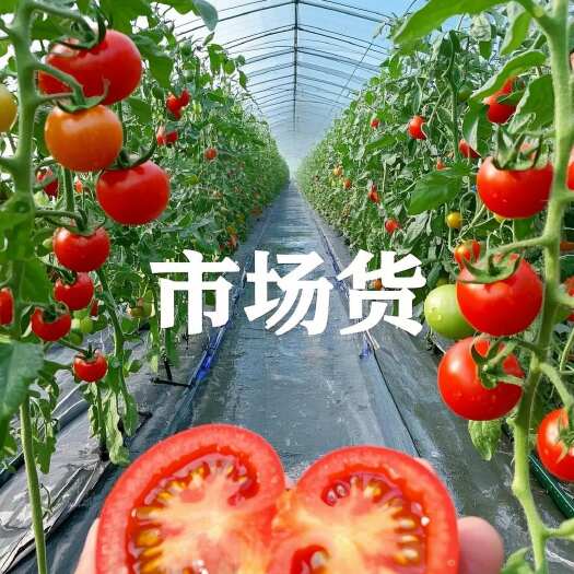 平度市山东平度优质产区，釜山 88，酸甜爆汁超新鲜