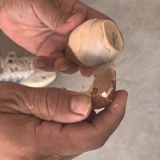 阳谷县山东精品烤咸鸭蛋75g以上流油起沙不咸即食咸鸭蛋泥腌爆油促销