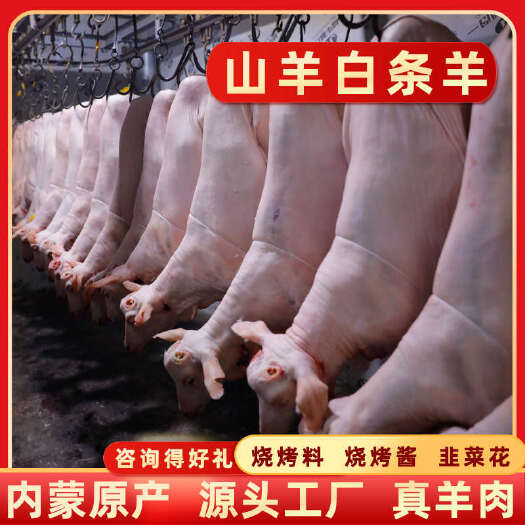 工厂内蒙古武川山羊白条肉