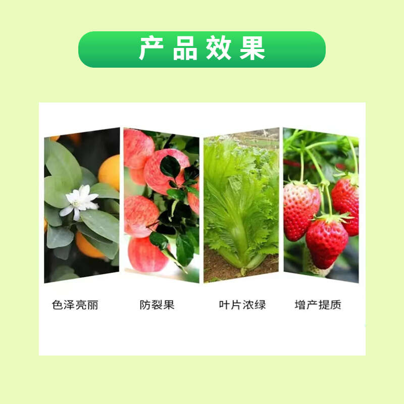 禾丰沐野钙镁硼锌铁钼中微量元素叶面肥果树蔬菜多重螯合钙镁