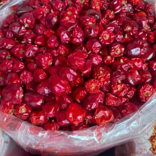 昆明贵州灯笼辣，品质保证，常年经营，量大来电