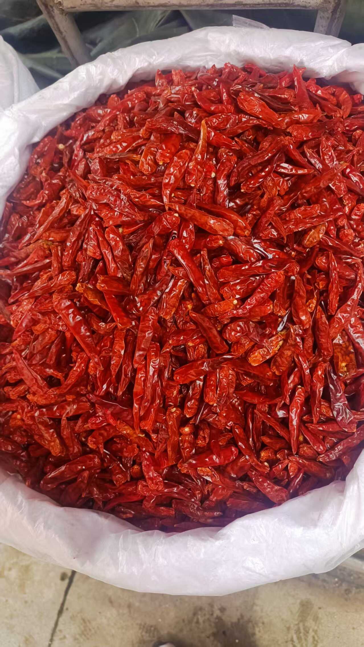 云南丘北特产干辣椒 农家晾晒香辛料