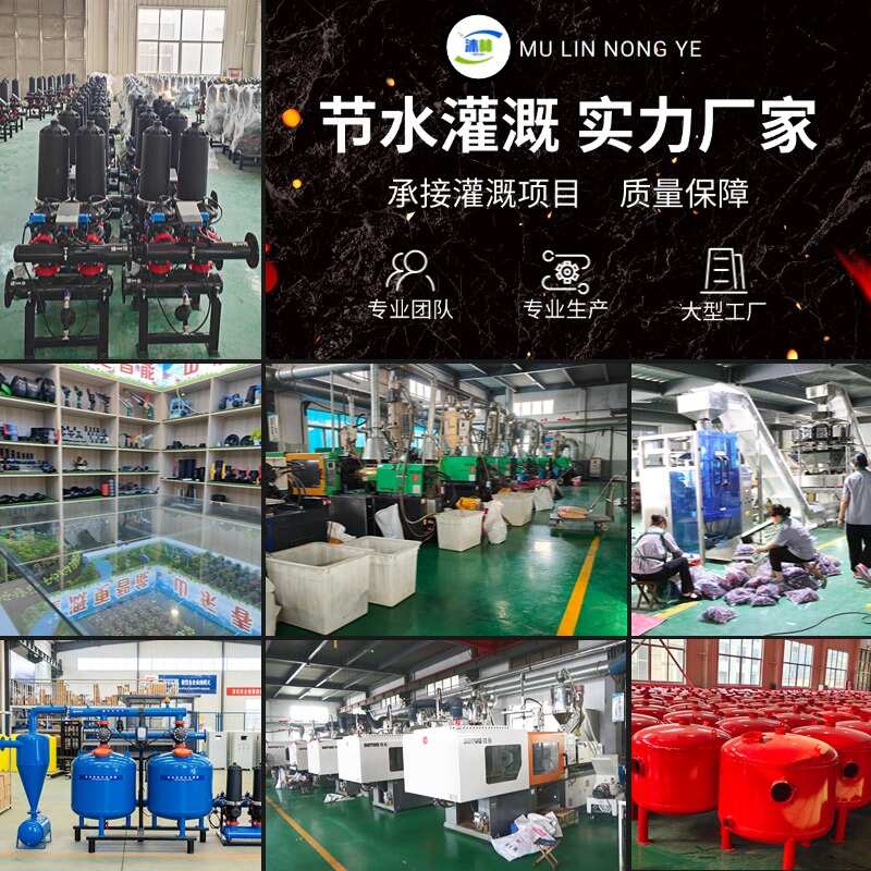 农业灌溉沉沙罐河水泥沙钢制过滤器单网双网离心网式除沙过滤器