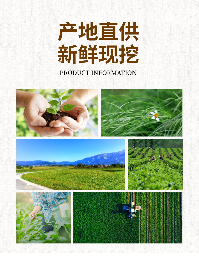 正宗恩施大土豆马尔科新鲜黄心大土豆粉糯马铃薯高山土豆烧烤洋芋