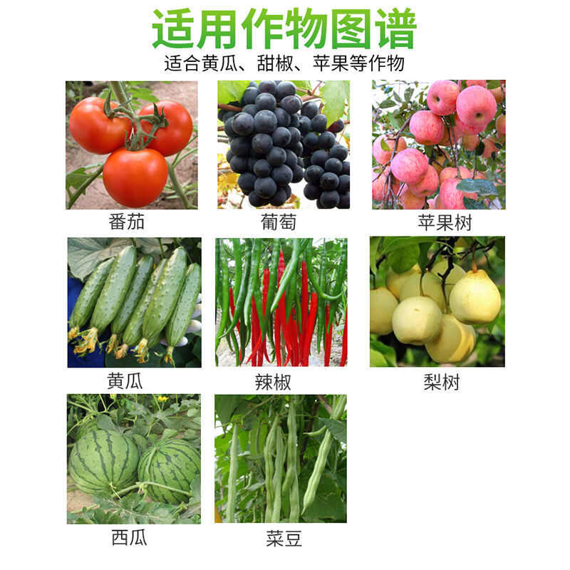 巴斯夫健攻苯甲·氟酰胺黑星病白粉病早疫病落叶病杀菌剂