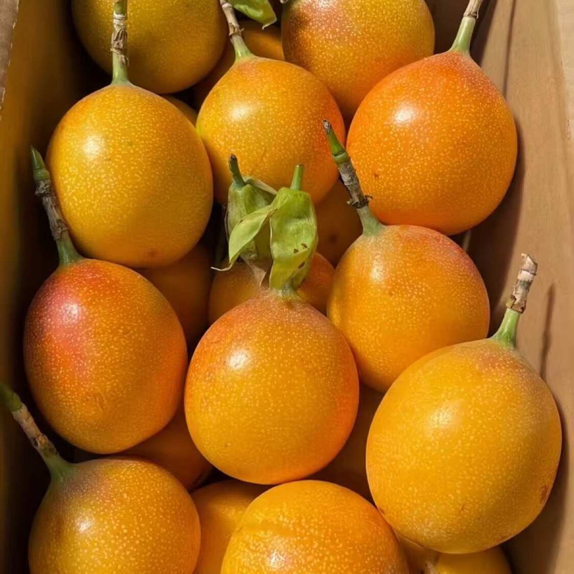 云南西双版纳勐海县,热情果产地直发