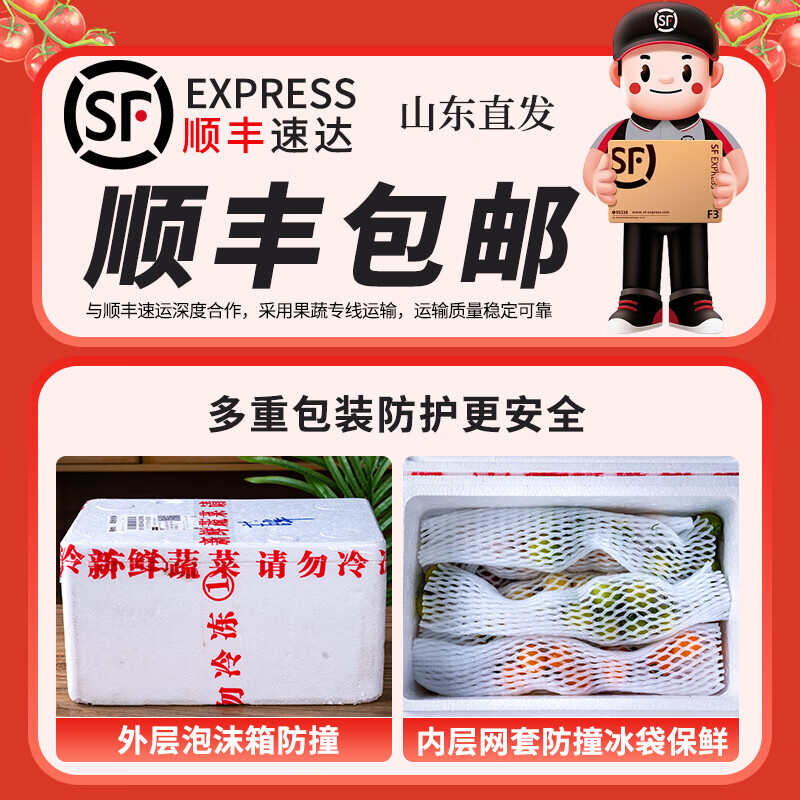 新鲜彩色小番茄圣女果混合装七彩七色圣女果酸甜多汁现摘现发顺丰