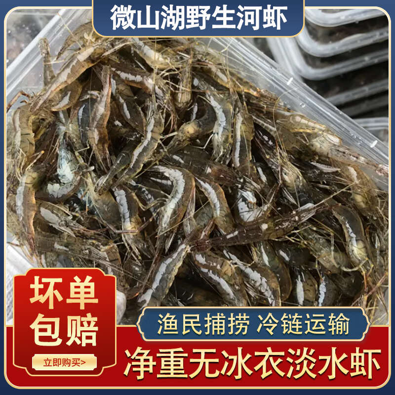 微山湖小河虾淡水新鲜活体速冻保鲜冷冻大号鲜青虾醉虾大草虾鱼食