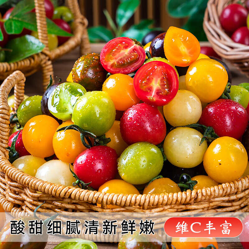新鲜彩色小番茄圣女果混合装七彩七色圣女果酸甜多汁现摘现发顺丰