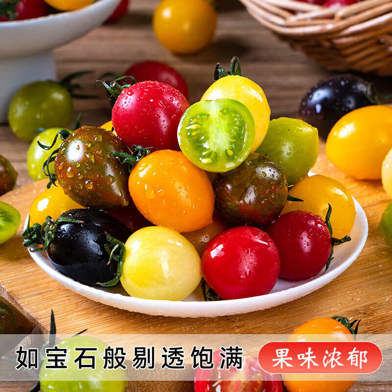 新鲜彩色小番茄圣女果混合装七彩七色圣女果酸甜多汁现摘现发顺丰