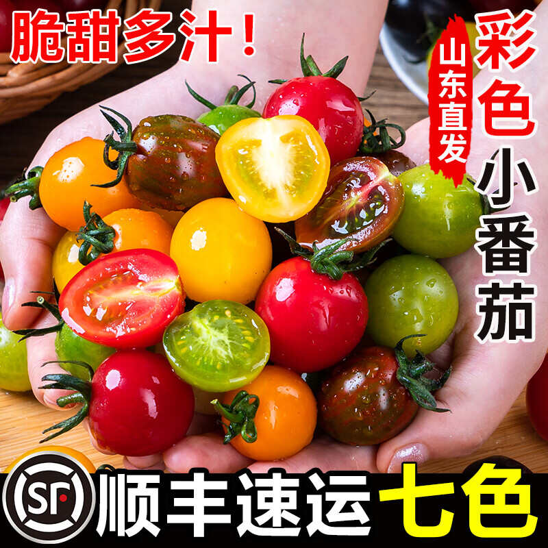 新鲜彩色小番茄圣女果混合装七彩七色圣女果酸甜多汁现摘现发顺丰