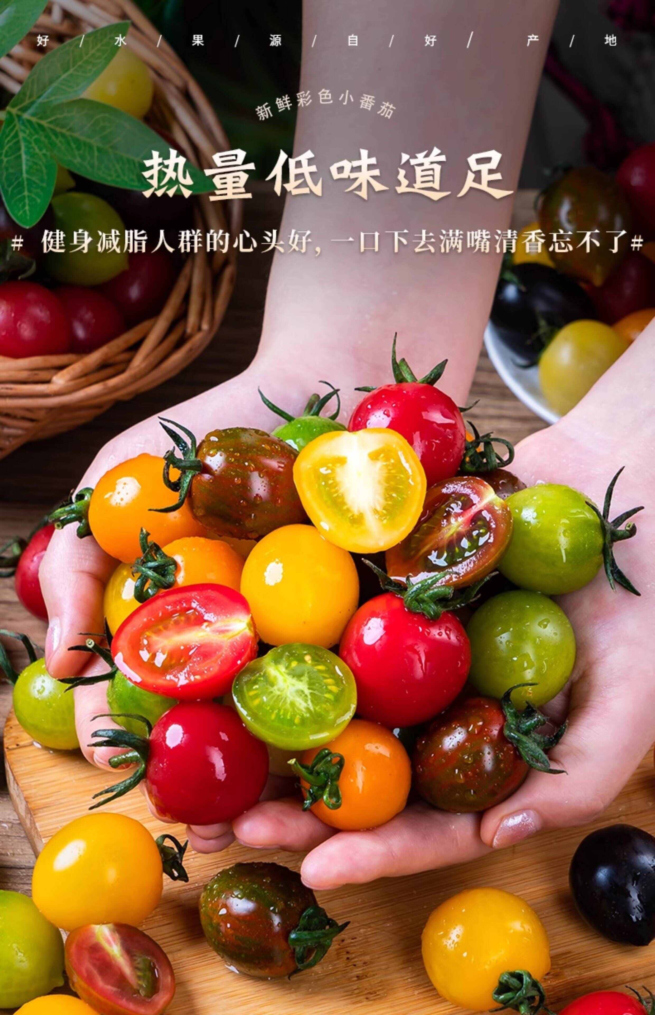 新鲜彩色小番茄圣女果混合装七彩七色圣女果酸甜多汁现摘现发顺丰
