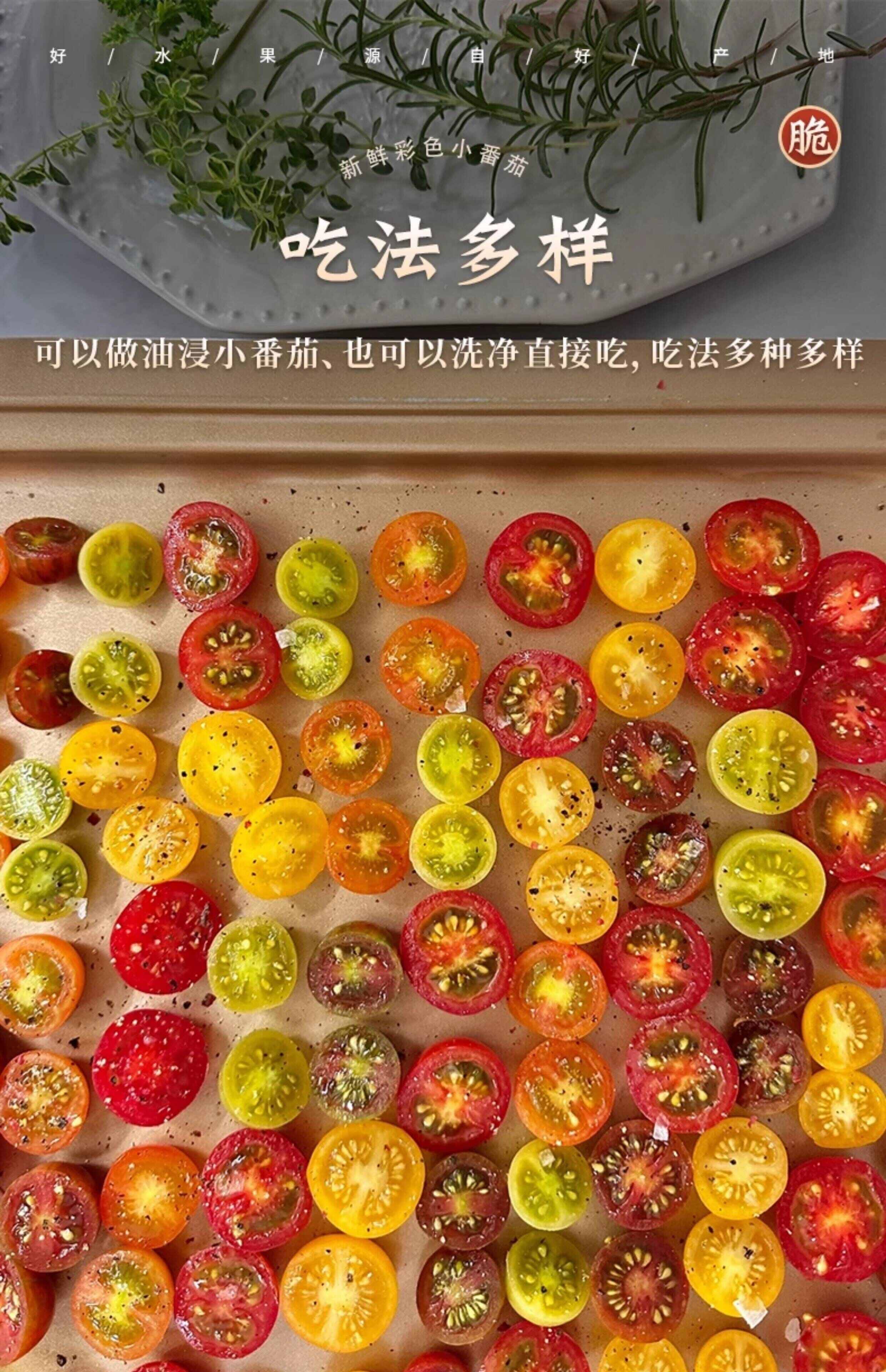 新鲜彩色小番茄圣女果混合装七彩七色圣女果酸甜多汁现摘现发顺丰